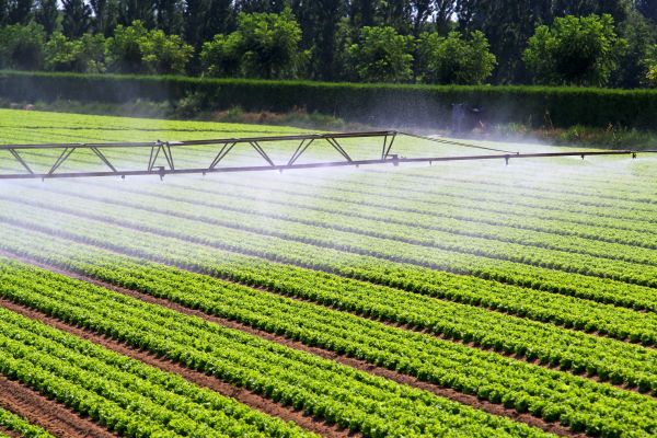 Mist Irrigation Installation Service