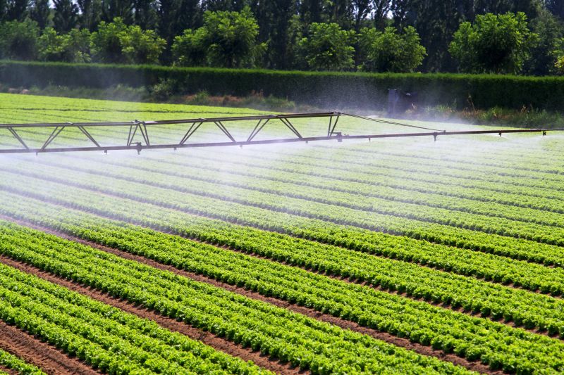 Mist Irrigation Installation