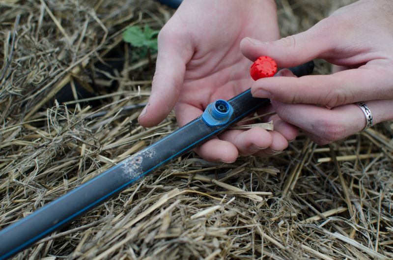 Drip Irrigation Installation