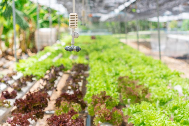 Mist Irrigation Installation