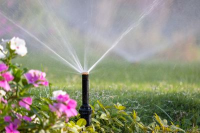 Pop Up Sprinklers Repair